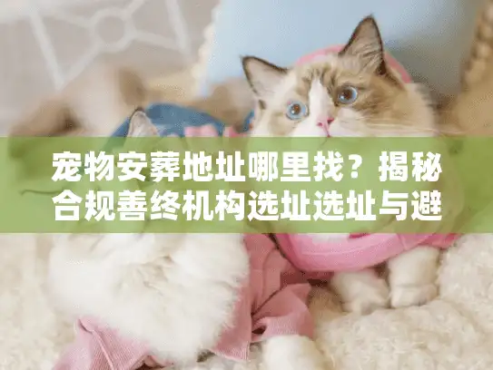宠物安葬地址哪里找？揭秘合规善终机构选址选址与避坑术