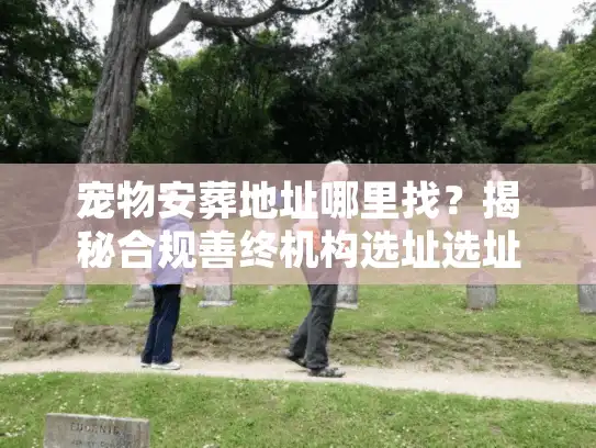 宠物安葬地址哪里找？揭秘合规善终机构选址选址与避坑术