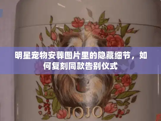 明星宠物安葬图片里的隐藏细节，如何复刻同款告别仪式