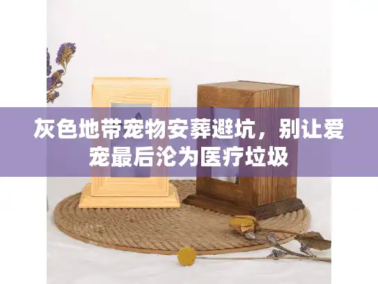 灰色地带宠物安葬避坑，别让爱宠最后沦为医疗垃圾