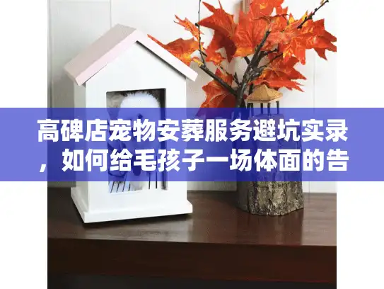 高碑店宠物安葬服务避坑实录，如何给毛孩子一场体面的告别？