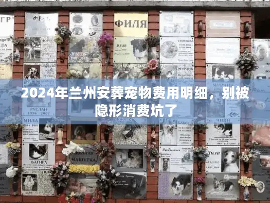2024年兰州安葬宠物费用明细，别被隐形消费坑了