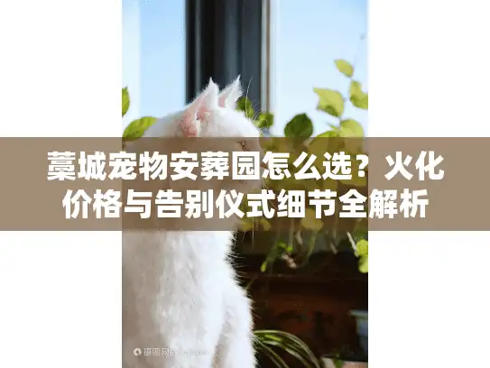 藁城宠物安葬园怎么选？火化价格与告别仪式细节全解析