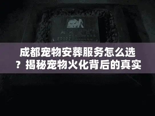 成都宠物安葬服务怎么选？揭秘宠物火化背后的真实门道