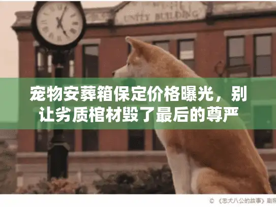 宠物安葬箱保定价格曝光，别让劣质棺材毁了最后的尊严