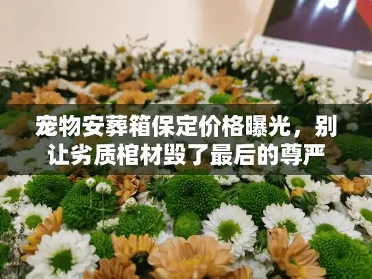 宠物安葬箱保定价格曝光，别让劣质棺材毁了最后的尊严