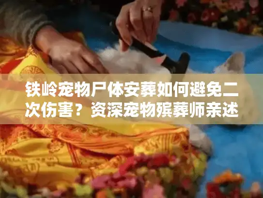 铁岭宠物尸体安葬如何避免二次伤害？资深宠物殡葬师亲述