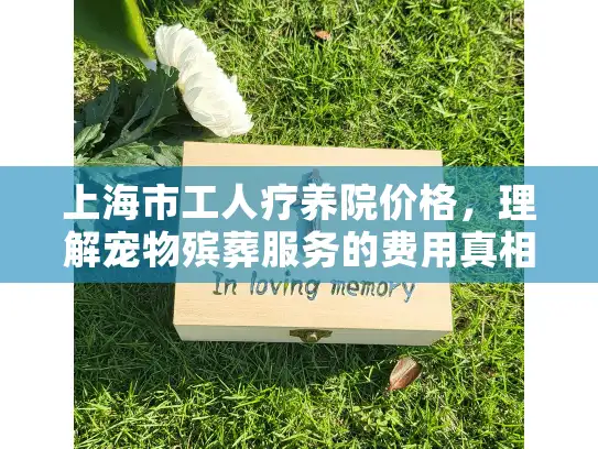 上海市工人疗养院价格，理解宠物殡葬服务的费用真相与贴心选择