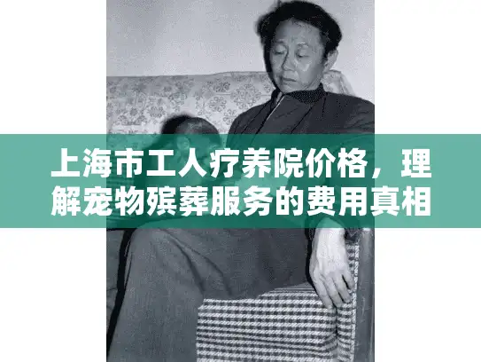 上海市工人疗养院价格，理解宠物殡葬服务的费用真相与贴心选择