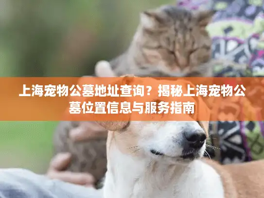 上海宠物公墓地址查询？揭秘上海宠物公墓位置信息与服务指南