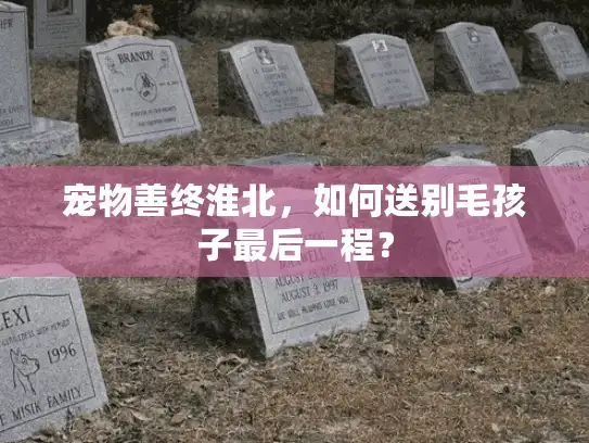 宠物善终淮北，如何送别毛孩子最后一程？
