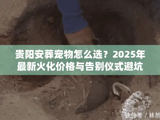 贵阳安葬宠物怎么选？2025年最新火化价格与告别仪式避坑实录