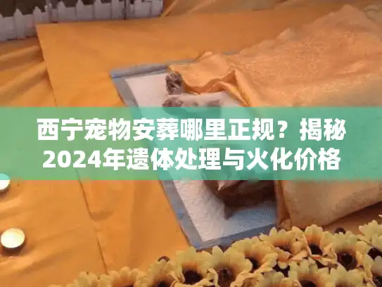 西宁宠物安葬哪里正规？揭秘2024年遗体处理与火化价格内幕