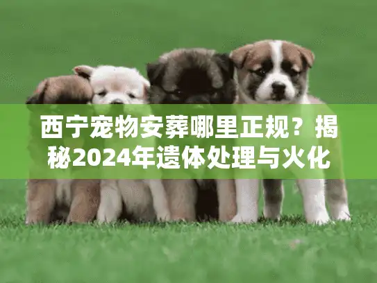 西宁宠物安葬哪里正规？揭秘2024年遗体处理与火化价格内幕