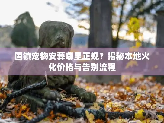 固镇宠物安葬哪里正规？揭秘本地火化价格与告别流程