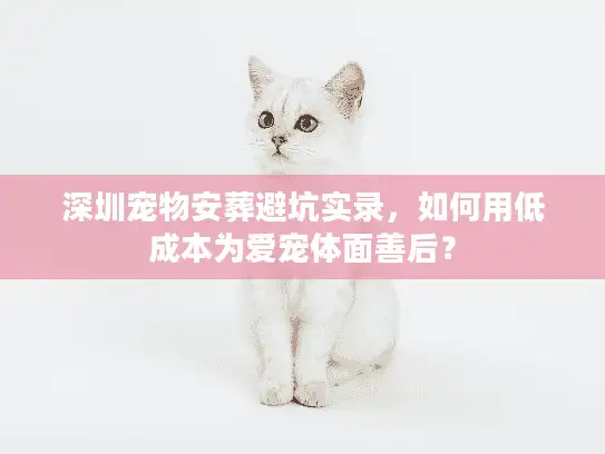 深圳宠物安葬避坑实录，如何用低成本为爱宠体面善后？
