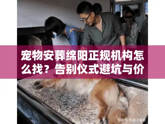 宠物安葬绵阳正规机构怎么找？告别仪式避坑与价格揭秘