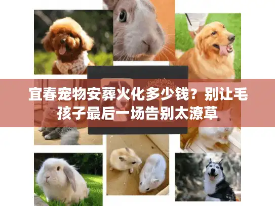 宜春宠物安葬火化多少钱？别让毛孩子最后一场告别太潦草
