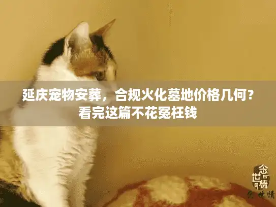 延庆宠物安葬，合规火化墓地价格几何？看完这篇不花冤枉钱