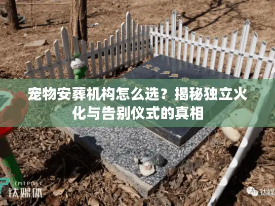 宠物安葬机构怎么选？揭秘独立火化与告别仪式的真相