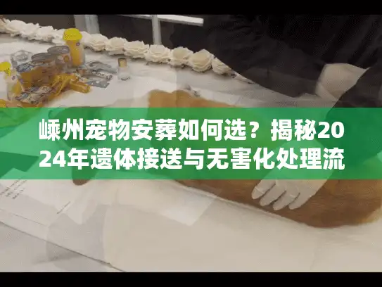 嵊州宠物安葬如何选？揭秘2024年遗体接送与无害化处理流程