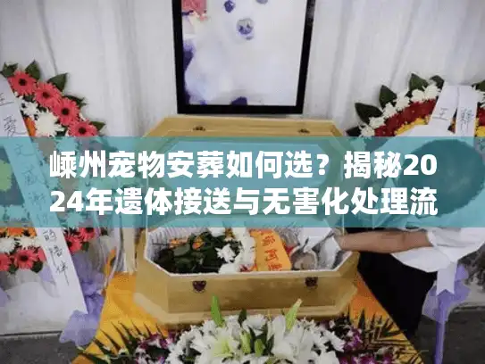 嵊州宠物安葬如何选？揭秘2024年遗体接送与无害化处理流程