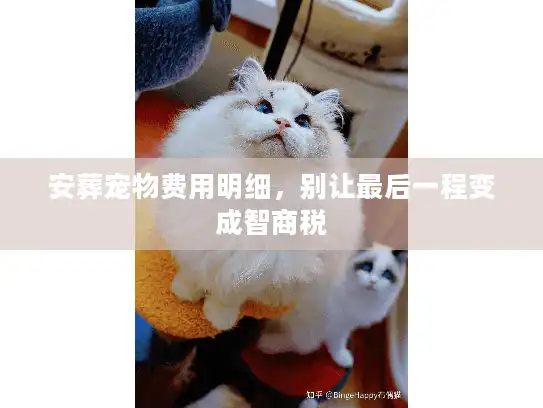安葬宠物费用明细，别让最后一程变成智商税