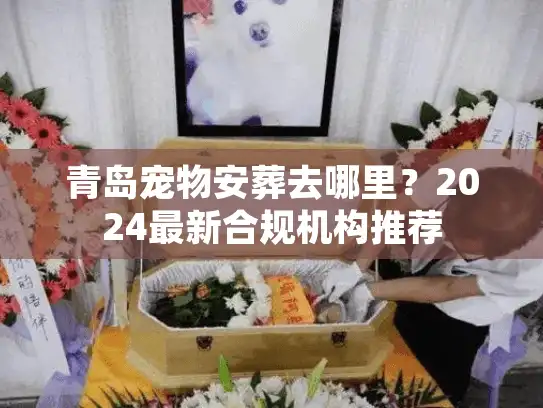 青岛宠物安葬去哪里？2024最新合规机构推荐