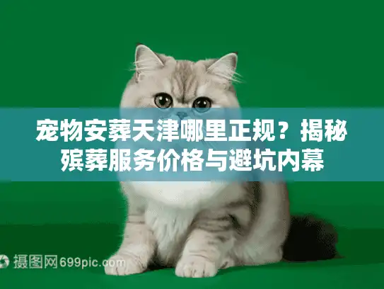 宠物安葬天津哪里正规？揭秘殡葬服务价格与避坑内幕