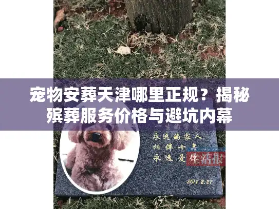 宠物安葬天津哪里正规？揭秘殡葬服务价格与避坑内幕