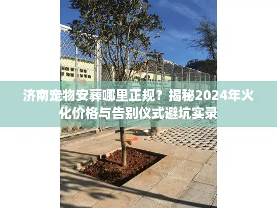 济南宠物安葬哪里正规？揭秘2024年火化价格与告别仪式避坑实录