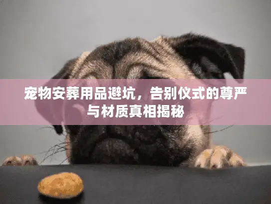 宠物安葬用品避坑，告别仪式的尊严与材质真相揭秘