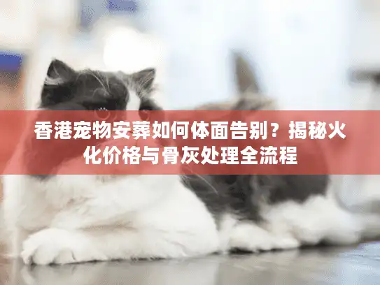 香港宠物安葬如何体面告别？揭秘火化价格与骨灰处理全流程