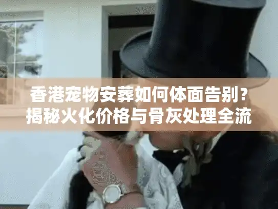 香港宠物安葬如何体面告别？揭秘火化价格与骨灰处理全流程