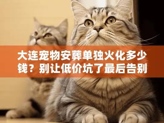 大连宠物安葬单独火化多少钱？别让低价坑了最后告别