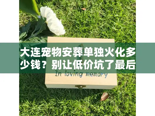 大连宠物安葬单独火化多少钱？别让低价坑了最后告别