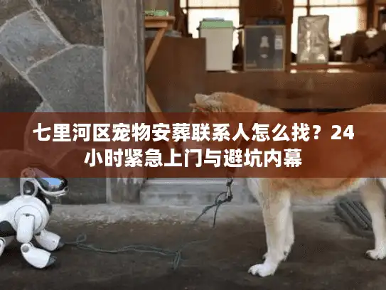 七里河区宠物安葬联系人怎么找？24小时紧急上门与避坑内幕
