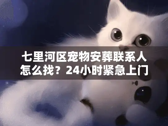 七里河区宠物安葬联系人怎么找？24小时紧急上门与避坑内幕