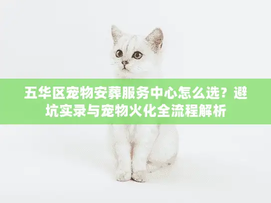 五华区宠物安葬服务中心怎么选？避坑实录与宠物火化全流程解析