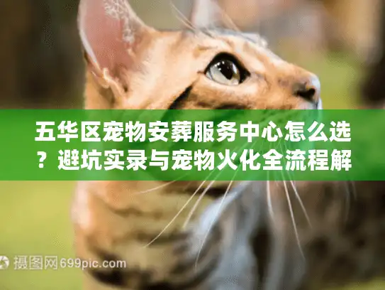 五华区宠物安葬服务中心怎么选？避坑实录与宠物火化全流程解析