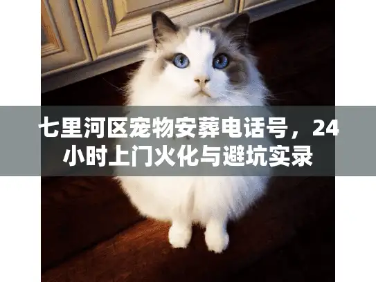 七里河区宠物安葬电话号，24小时上门火化与避坑实录