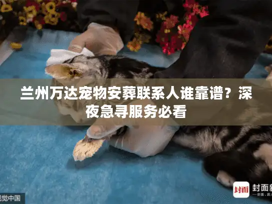 兰州万达宠物安葬联系人谁靠谱？深夜急寻服务必看