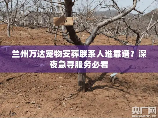 兰州万达宠物安葬联系人谁靠谱？深夜急寻服务必看