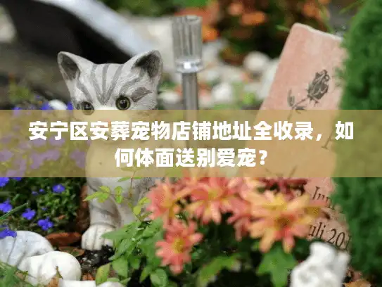 安宁区安葬宠物店铺地址全收录，如何体面送别爱宠？
