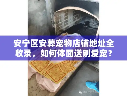 安宁区安葬宠物店铺地址全收录，如何体面送别爱宠？
