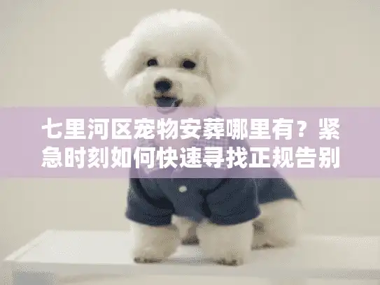 七里河区宠物安葬哪里有？紧急时刻如何快速寻找正规告别中心？