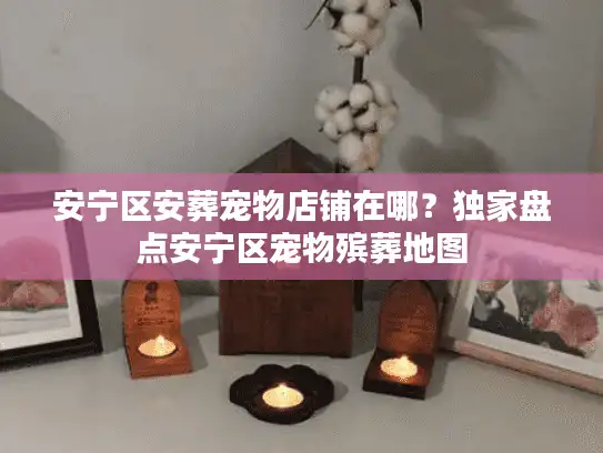 安宁区安葬宠物店铺在哪？独家盘点安宁区宠物殡葬地图