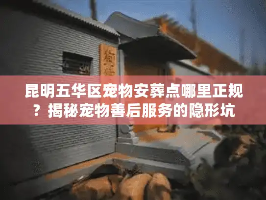 昆明五华区宠物安葬点哪里正规？揭秘宠物善后服务的隐形坑