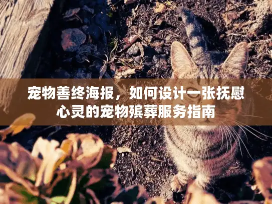 宠物善终海报，如何设计一张抚慰心灵的宠物殡葬服务指南