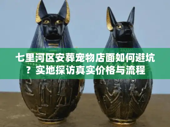 七里河区安葬宠物店面如何避坑？实地探访真实价格与流程